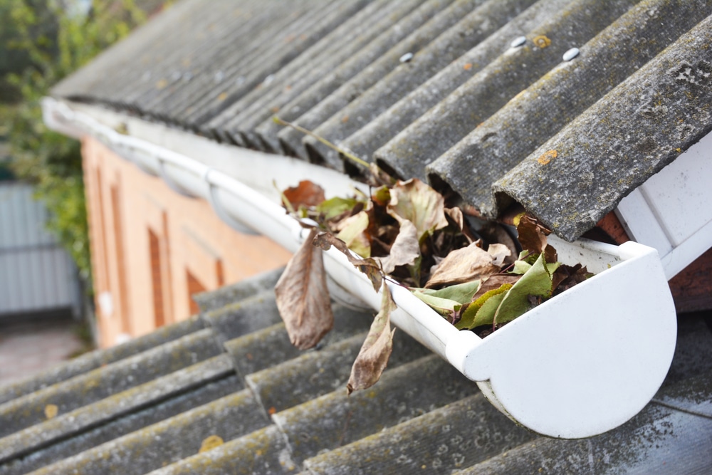 Gutter Cleaning