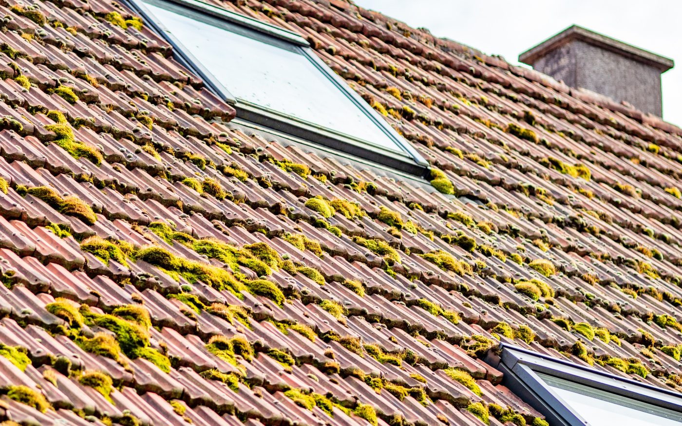 Roof Cleaning & Moss Removal